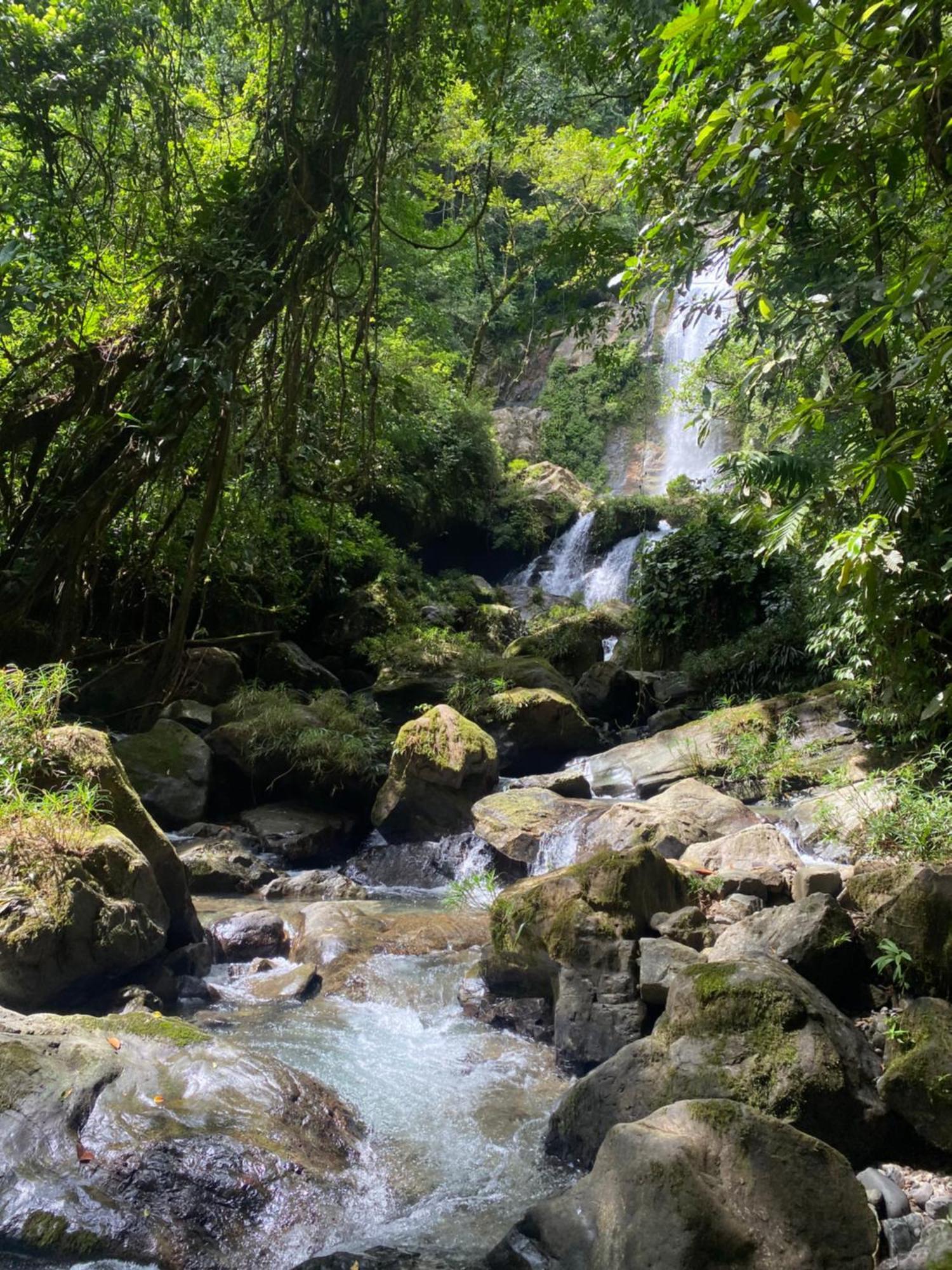 סנטה פה Rainforest Yasmin Hotel מראה חיצוני תמונה
