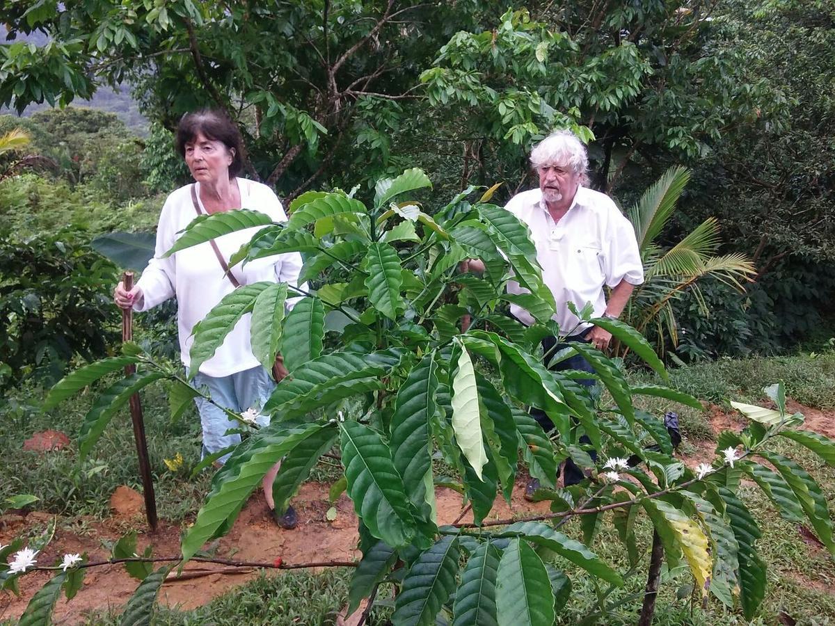 סנטה פה Rainforest Yasmin Hotel מראה חיצוני תמונה