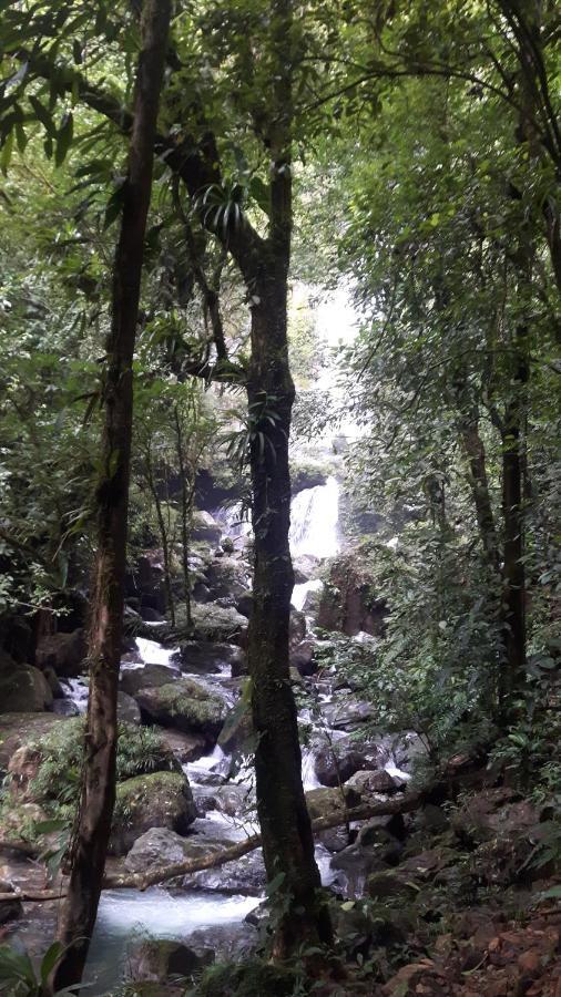 סנטה פה Rainforest Yasmin Hotel מראה חיצוני תמונה