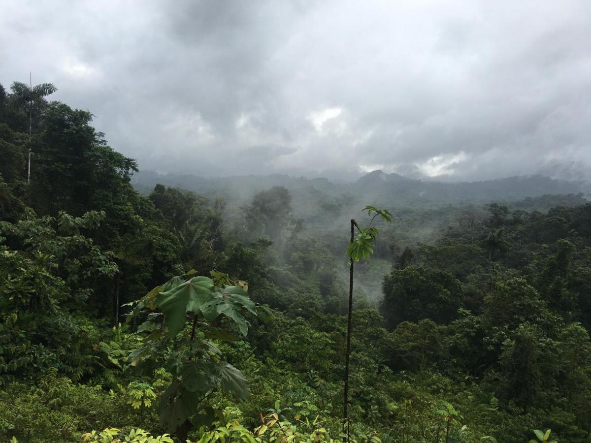 סנטה פה Rainforest Yasmin Hotel מראה חיצוני תמונה